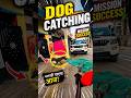 Dog Catching Mission Success #shorts #ytviral #ytshorts #dog #pets