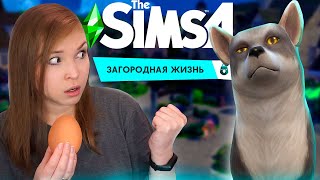 ВСТРЕЧА С ДИКИМИ ЛИСАМИ! [Прохождение The Sims 4: Загородная жизнь] №2