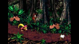 Donkey Kong Country 2 - Lost World 1 - Jungle Jinx