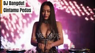 Cintamu Pedas