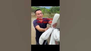 Bộ lọc uf chuyên sử lý nguồn nước Nhiễn phèn sắt bùn đất tạp chất vi khuẩn trong nước #locnuoc