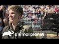 Lo mejor de Robert Irwin en el zoológico | Los Irwin | Animal Planet