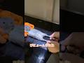 レントゲンがイヤイヤなテディモルモット