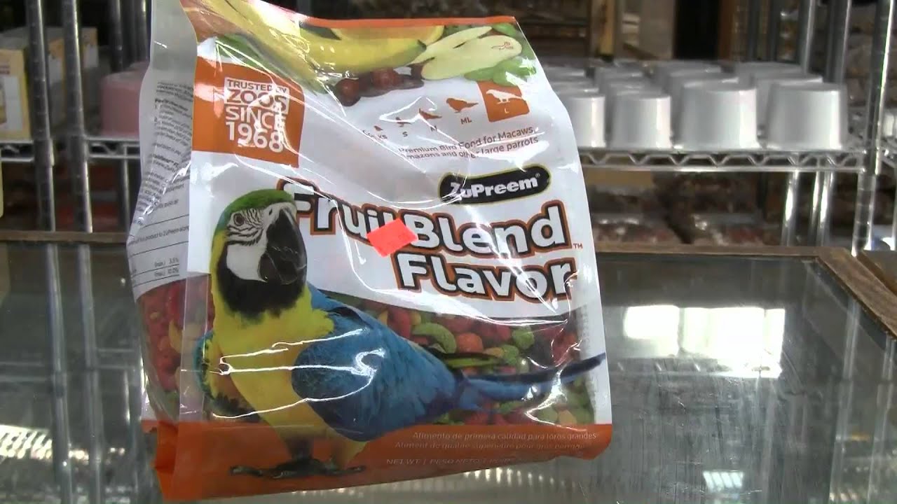 Cage World Parrot Store Indepth look at the exotic birds & supplies