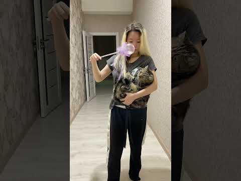 POV You Are Watching A Horror Movie Follow LeoNata Family Shorts Tiktok 