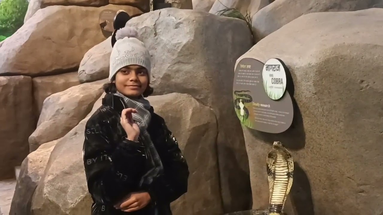 Travel + bihar museum vlog!!