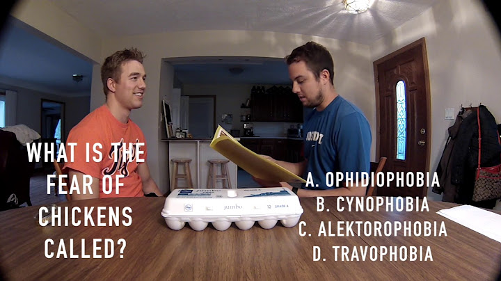 Who Will Win??  (Egg Roulette Edition)