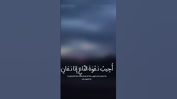 اجمل تلاوة القران الكريم القارئ احمد خضر حالة نفسية حالات واتس اب قران 🥺❤️
