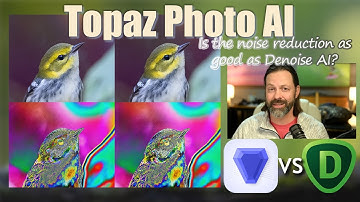 Noise Reduction, PhotoAI vs Denoise