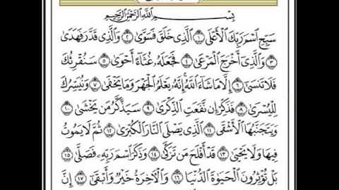 سورة الاعلى للشيخ هاني الرفاعي