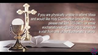 Daily Mass