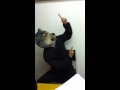 MWAMビデオレターforUSA（English ver、）