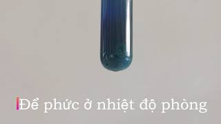 #11 | Glucose + Cu(OH)2 (nhiệt độ thường)💚