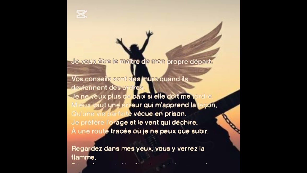 Laisse moi faire mon choix/ lyrics 