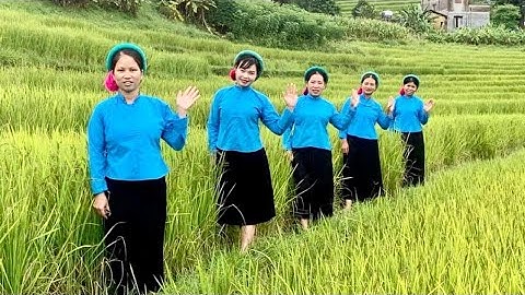 Mùa Vàng Miền Sóong Cọ Bình Liêu 2020 | Lễ Hội Dân Tộc Sán Chỉ | THÁI VITV