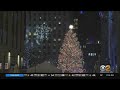 Rockefeller Christmas Tree Lights Up New York City Night