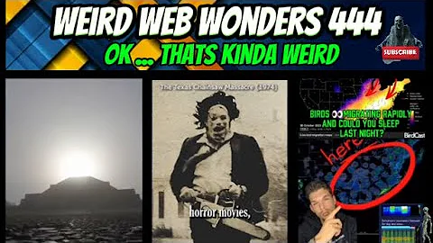 weird web wonders 444