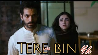 Tere bin || murtasim & meerab || dilbara song edit