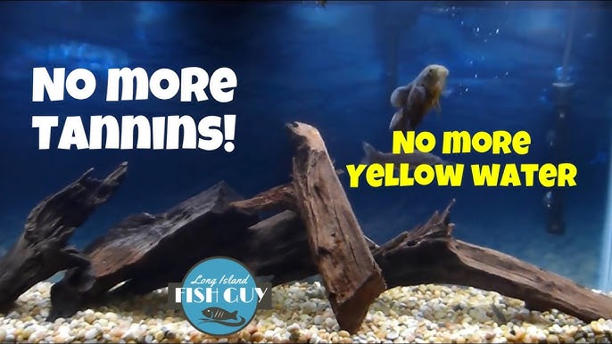 How To Prepare Driftwood For A Fish Tank