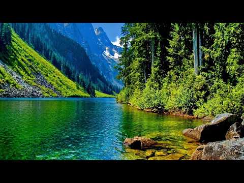 سورة المائدة | المصحف المرتل الكامل | القارئ عبد الله كامل رحمه الله