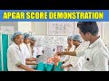Apgar score demonstration  how to calculate apgar score  health sector