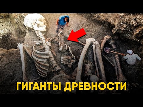 Video: Гигант Гималай лилиясына кам көрүү - Гигант Гималай лилиясын өстүрүү боюнча кеңештер