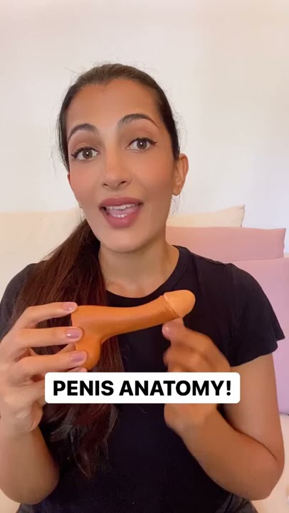 The PENIS : Anatomy and Parts