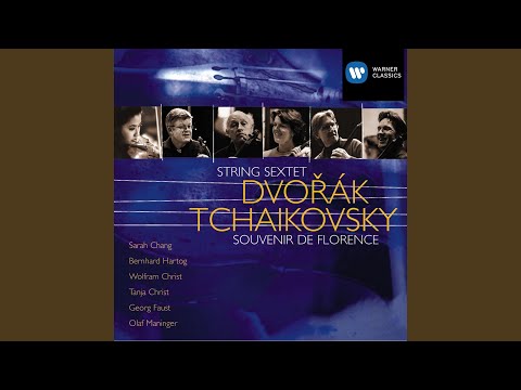 Sarah Chang, Bernhard Hartog, Wolfram Christ, Tanja Christ, Georg Faust, Olaf Maninger - String Sextet in A Major, Op. 48, B. 80: I. Allegro moderato