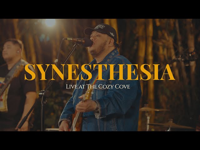 Synesthesia (Live at The Cozy Cove) -Mayonnaise class=