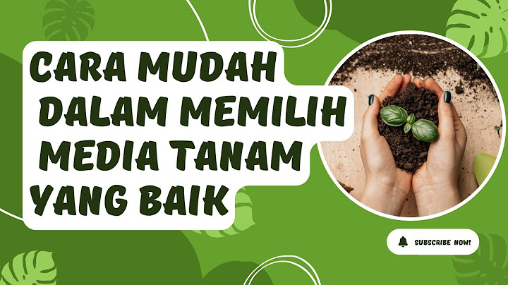 Sebutkan ciri-ciri benih yang telah dapat dipindahkan pada media tanam yang sesungguhnya