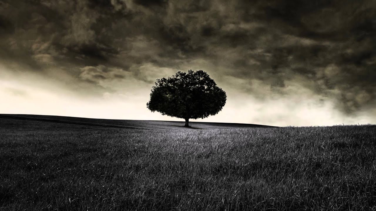 Travis Meeks -  Entropy Boy