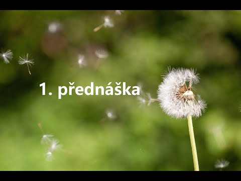 Manažerská etika - 1. přednáška