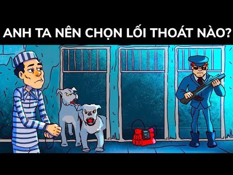 Video: Câu Hỏi Logic Thú Vị