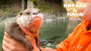 Four Little Otters Camping! Kotaro Crying Goodbye