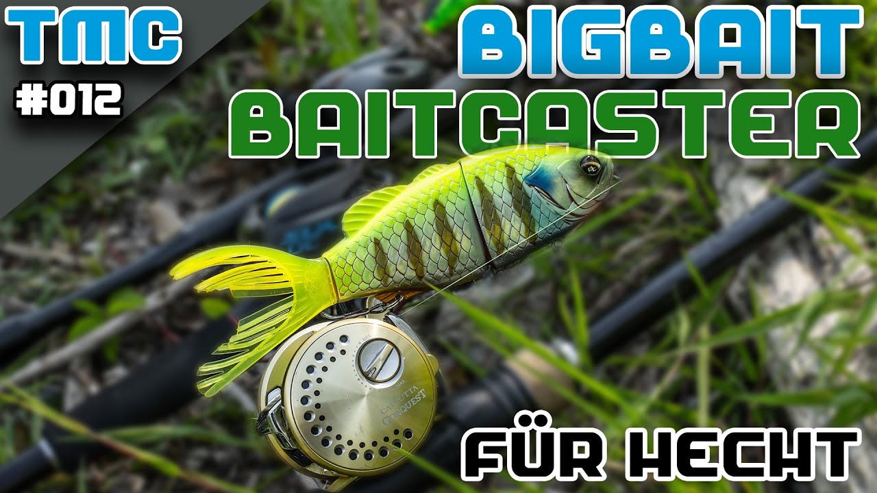 BIGBAIT Baitcaster für Hecht  TackleTalkMitChris #012 