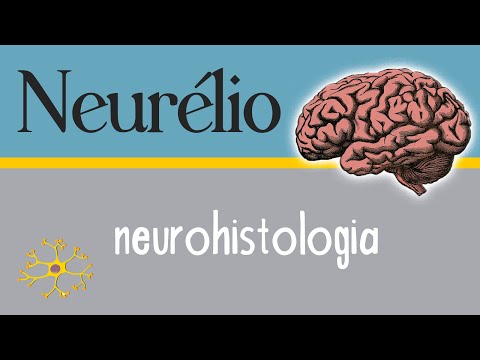 Vídeo: O que significa neurohistologia?