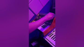 the Moog doing what it does 🔥  Subsequent 25 superb #moog #subsequent25 #moogsynthesizer #synth
