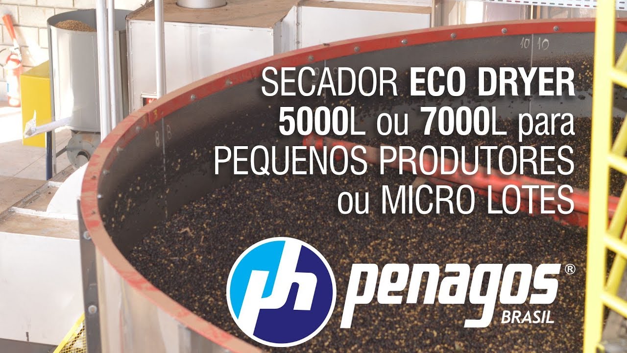 Café: Arábica e conilon começam semana com ajustes técnicos – Penagos Monte  Alegre