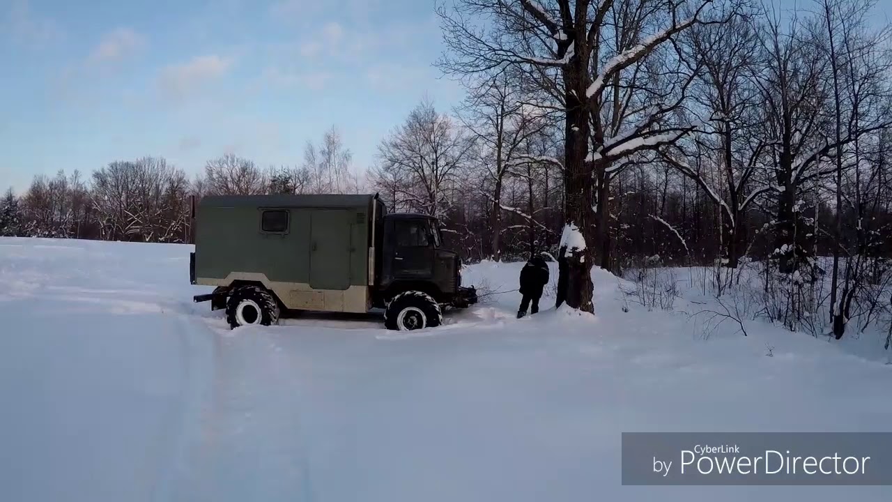 Машина зверь шофер собака