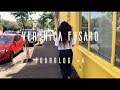 TOURBLOG #4 - BYE AUSTRALIA &amp; HI NEW ZEALAND
