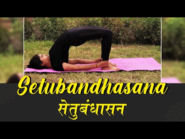Bridge Pose | Setu Bandhasana | सेतु बंधासन | International Yoga Day 2020 | Yog Rahasya