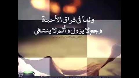 تلاوة من مسجد الهدى ( الرحمانية ) للقاريء محمد سليم مريسي لصلاة العشاء / 17 ذو الحجة 1439