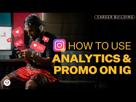 Deep Dive Into Analytics and Paid Promo on IG