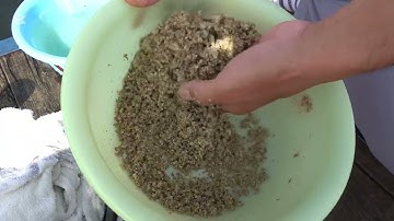 ⭐️石倉義久氏⭐️浅ダナ感嘆セット⭐️バラケレシピ⭐️