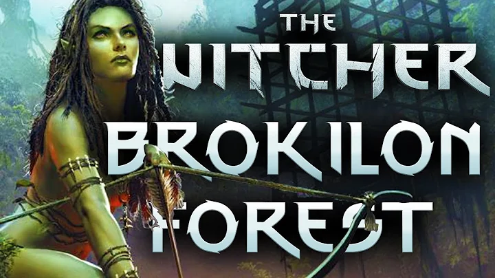 Brokilon The Home of The Dryads - Witcher Lore - W...
