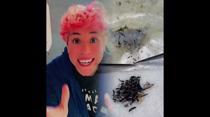 This is so funny, I couldn't stop laughing 😂😂 #funny #doddlersoftiktok #funnyvideos #duet