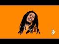 Bob Marley | Illustrator (Cámara Rápida)