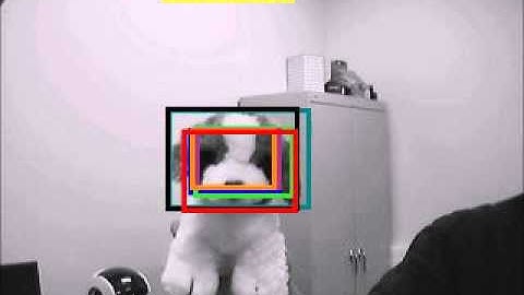 Robust Long Term Template Tracking - Dog1