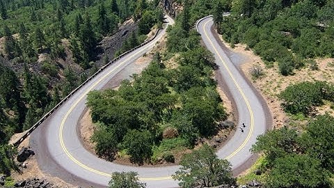 Longboarding Rowena Crest