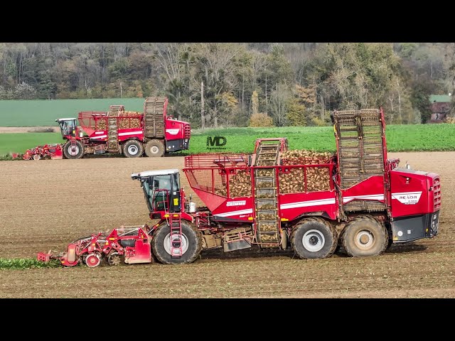 Grimme Rexor 6300 Platinum x2  -  Saintenoy & Fils class=